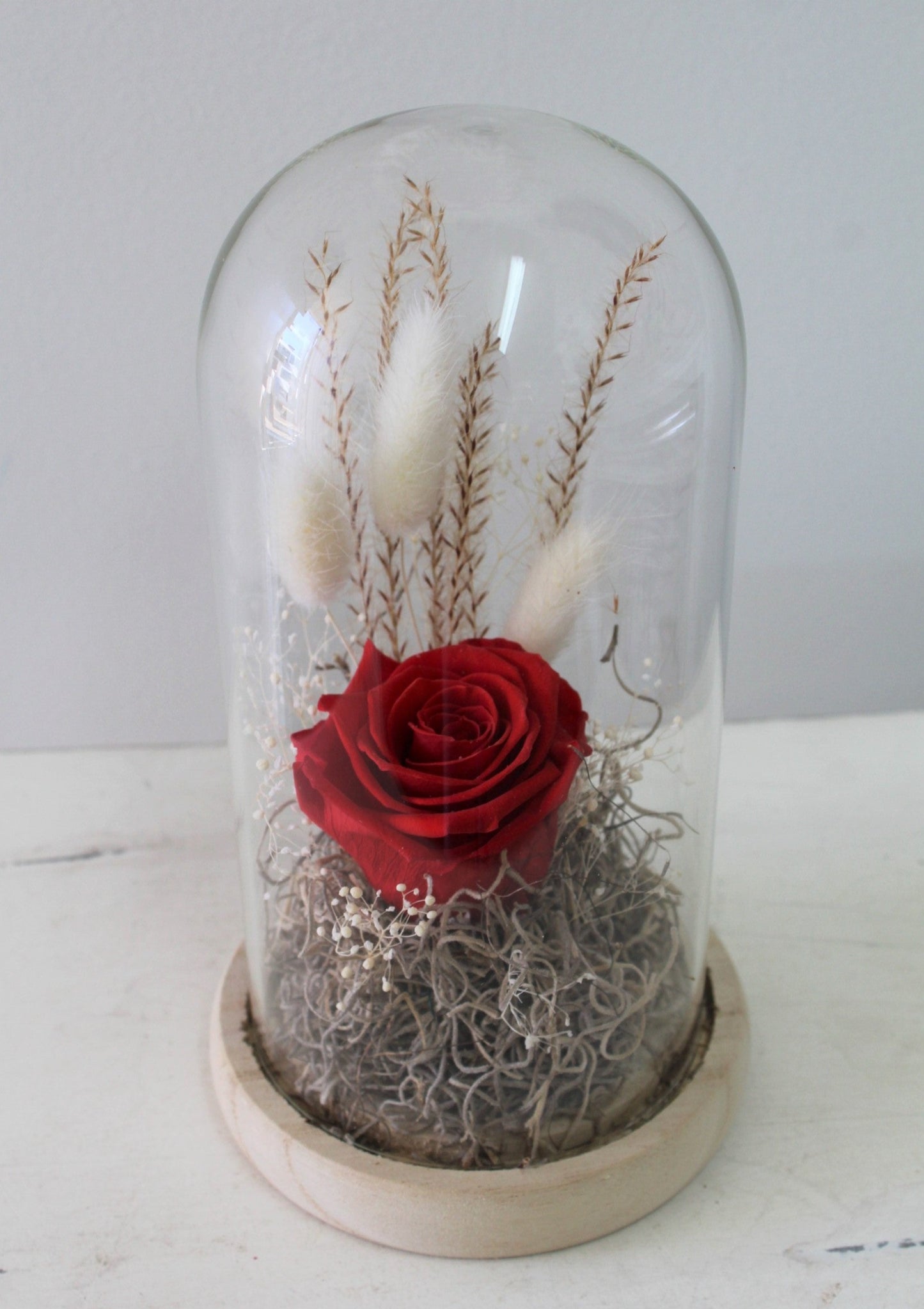 Rose éternelle dôme