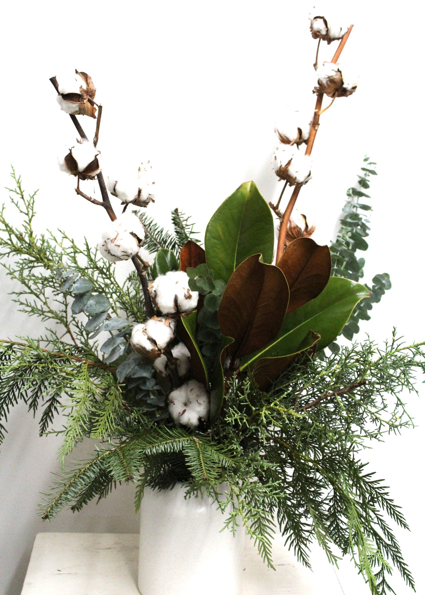Cotton + sapinage