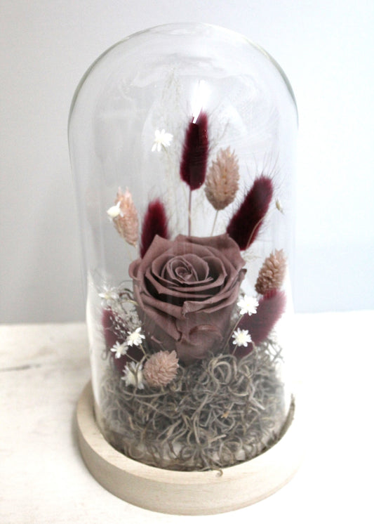 Rose éternelle dôme