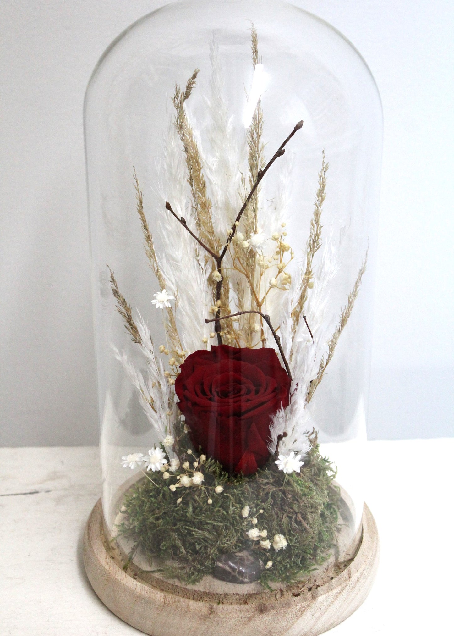 Rose éternelle dôme