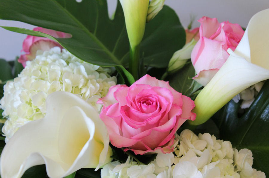 Élégante rose