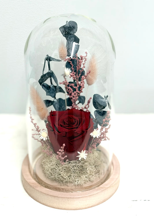 Rose éternelle dôme