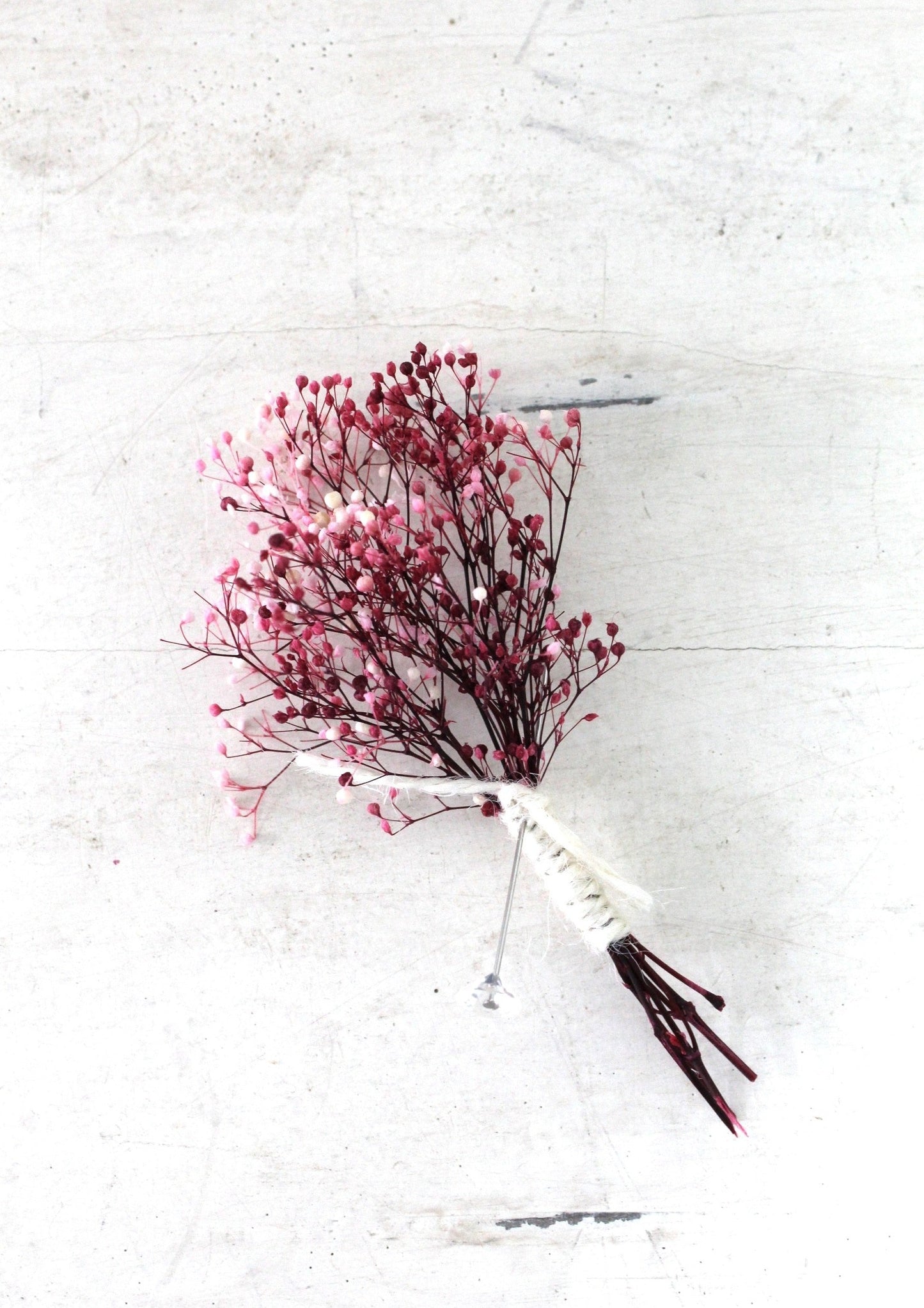 Boutonnière de soupir de bébé séchées
