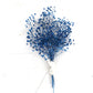 Boutonnière de soupir de bébé séchées