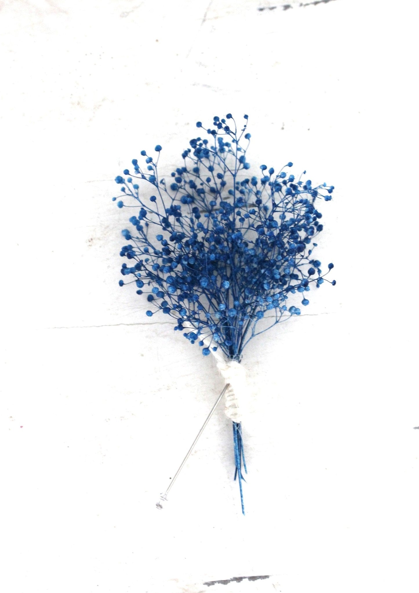 Boutonnière de soupir de bébé séchées