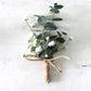 Boutonnière eucalyptus