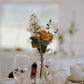 Rose terracotta