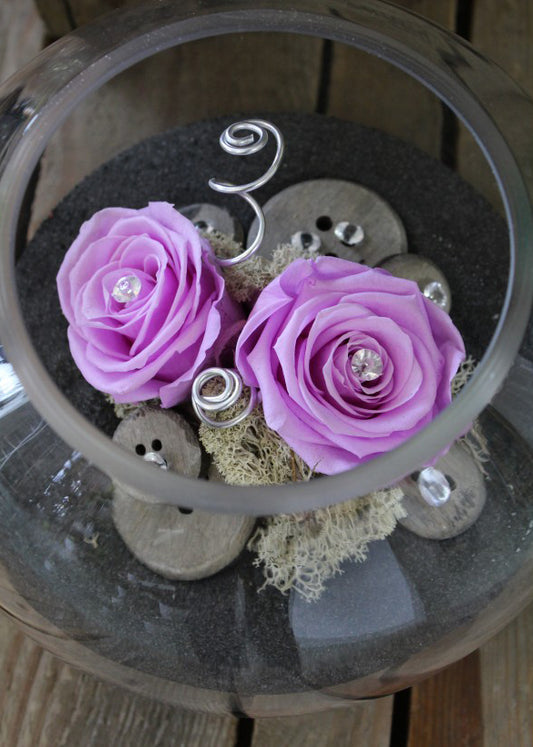 Rose intemporelle