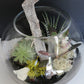 Terrarium moderne