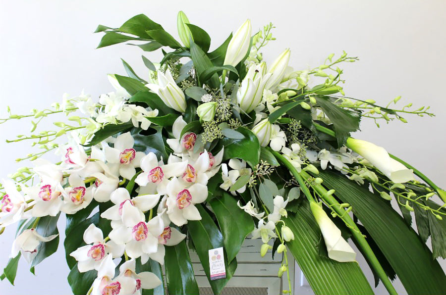 Fabuleuse orchidée